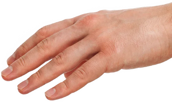 Hand Object