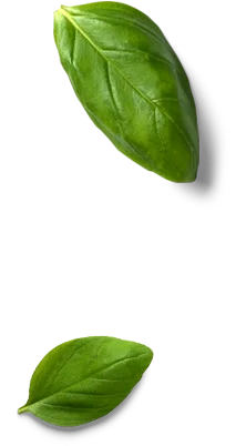 Leaf Object Top